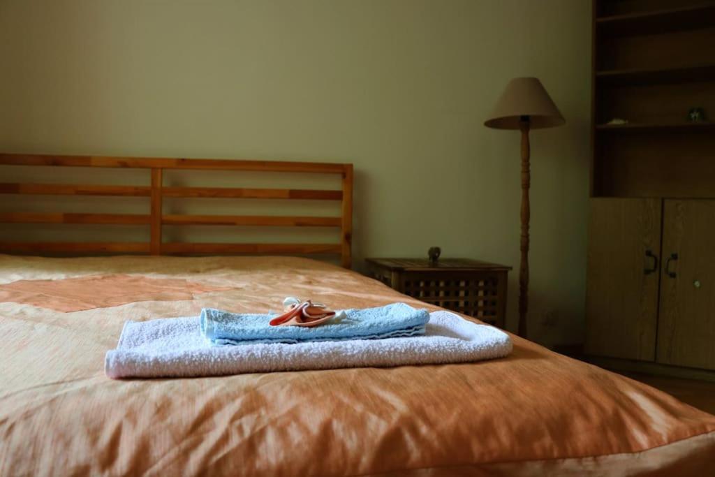Beautiful Flat In Central Location By Flat Mаnager ソフィア エクステリア 写真