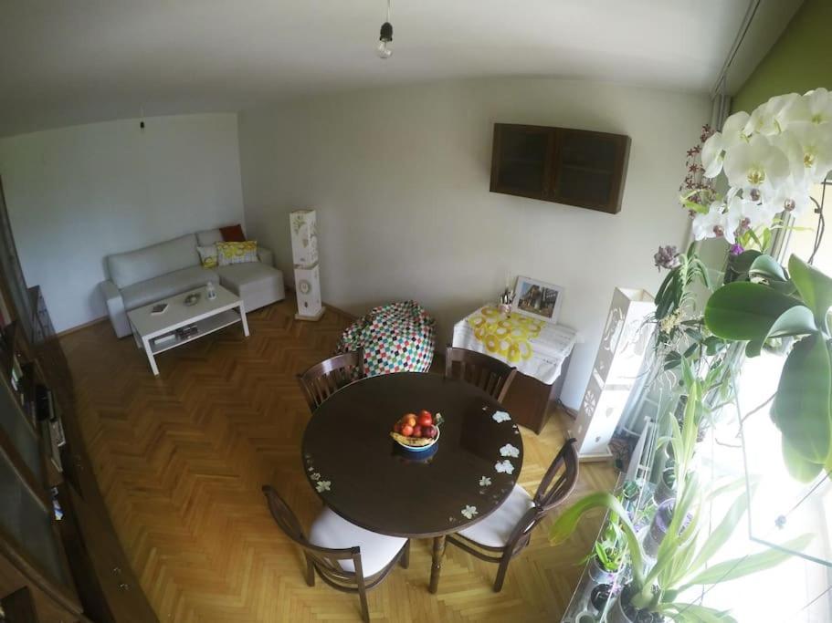 Beautiful Flat In Central Location By Flat Mаnager ソフィア エクステリア 写真